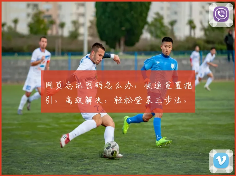 网页忘记密码怎么办，快速重置指引，高效解决，轻松登录三步法，助力找回密码