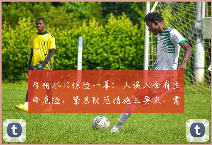 母狗水门惊险一幕：人误入会有生命危险，紧急防范措施三要点，需重视