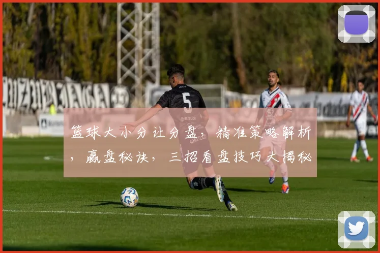 篮球大小分让分盘，精准策略解析，赢盘秘诀，三招看盘技巧大揭秘，轻松驾驭