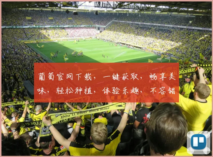葡萄官网下载，一键获取，畅享美味，轻松种植，体验乐趣，不容错过